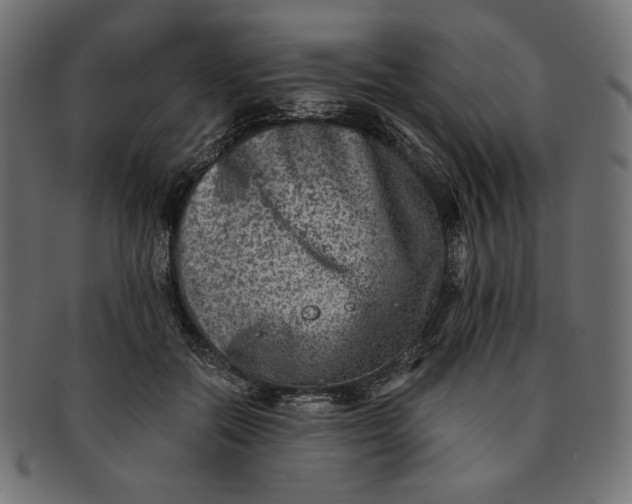 X0000091850554200709261209