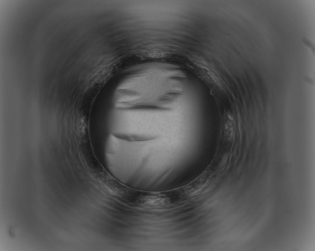 X0000091850555200709261209