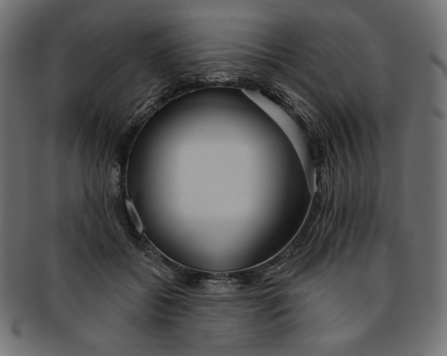 X0000091850556200709261209