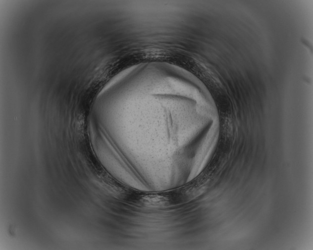 X0000091850557200709261209