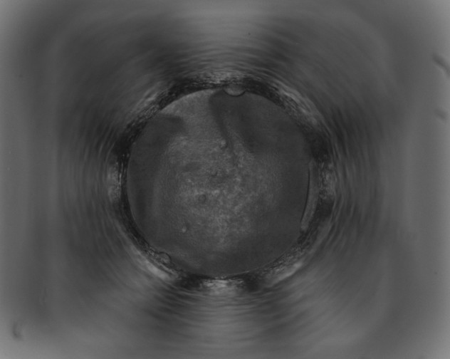 X0000091850558200709261209