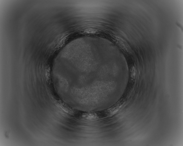 X0000091850559200709261209