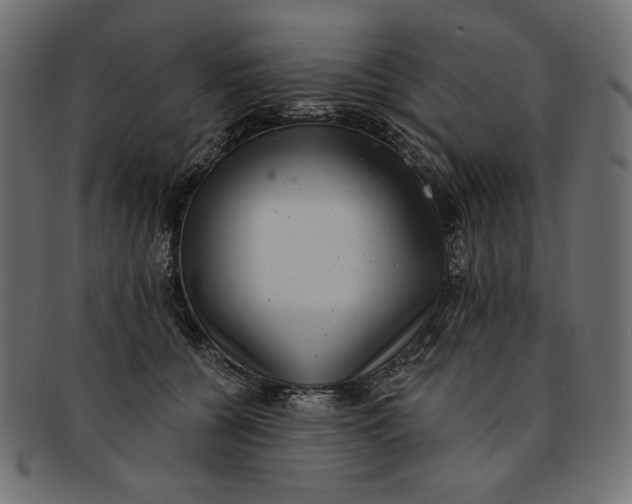 X0000091850560200709261209