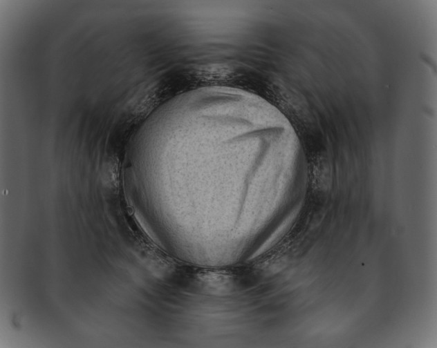 X0000091850561200709261209