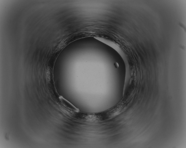 X0000091850562200709261209