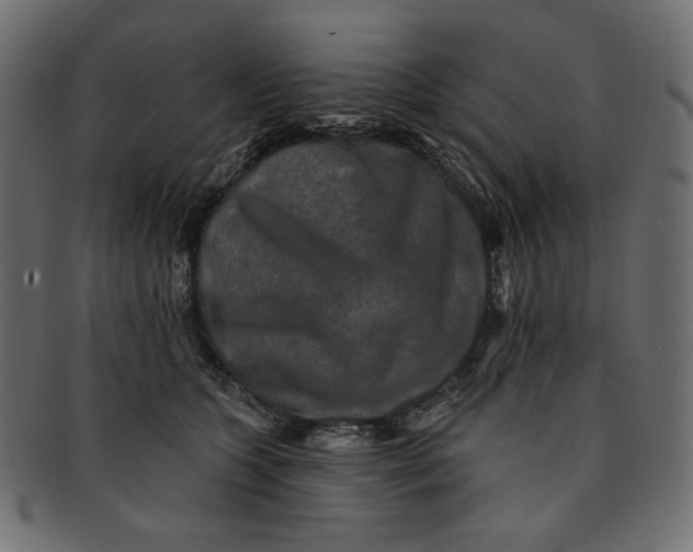 X0000091850563200709261209