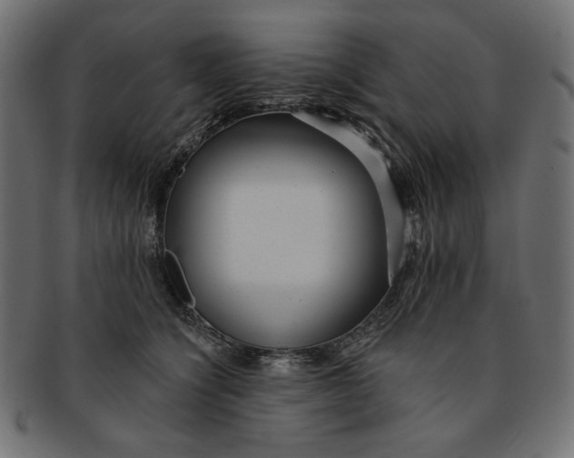 X0000091850564200709261209