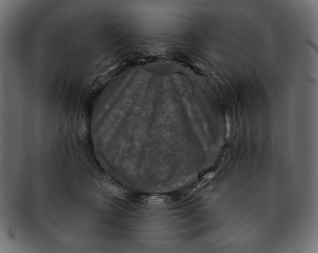 X0000091850566200709261209