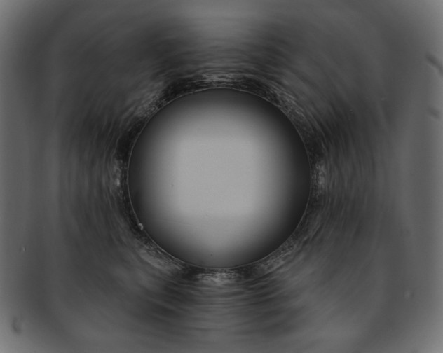 X0000091850567200709261209