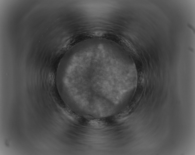 X0000091850568200709261209