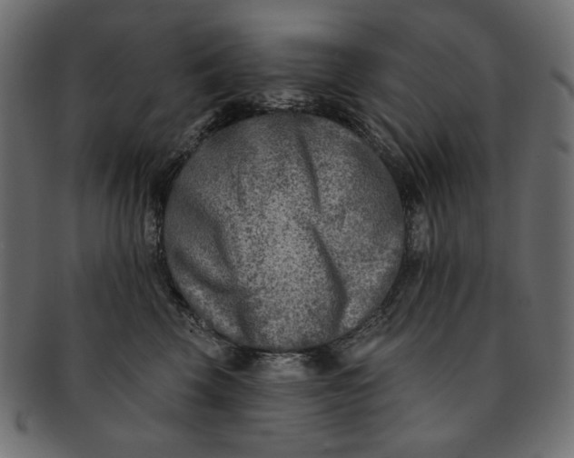 X0000091850569200709261209