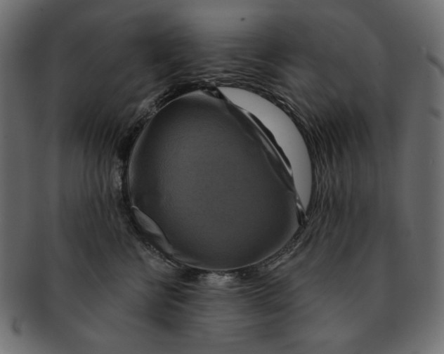 X0000091850570200709261209