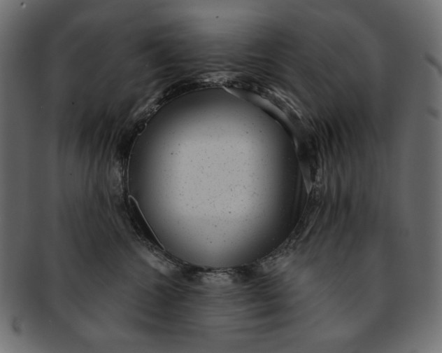 X0000091850572200709261209