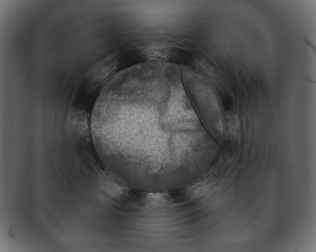 X0000091850573200709261209