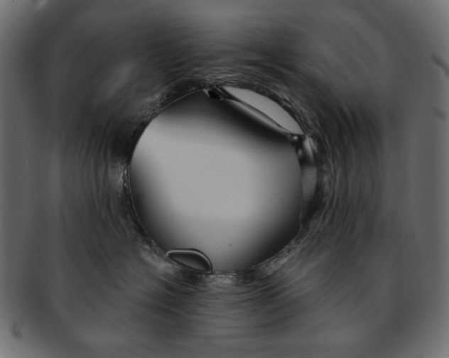 X0000091850574200709261209