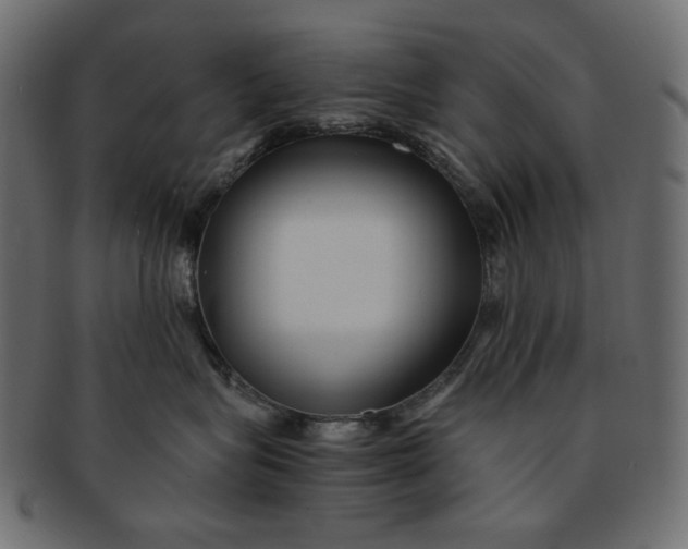 X0000091850575200709261209