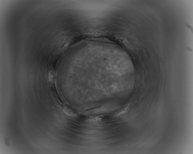 X0000091850576200709261209