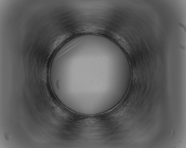 X0000091850578200709261209