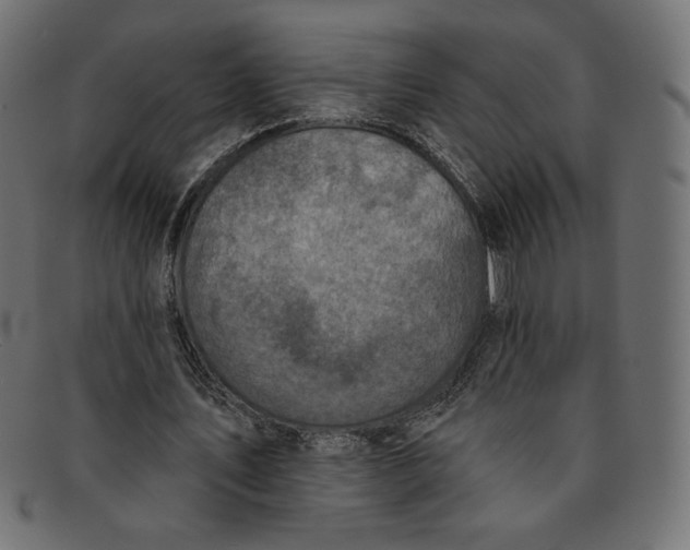 X0000091850579200709261209