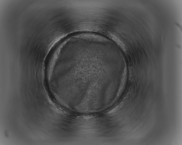 X0000091850580200709261209