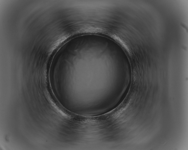 X0000091850581200709261209