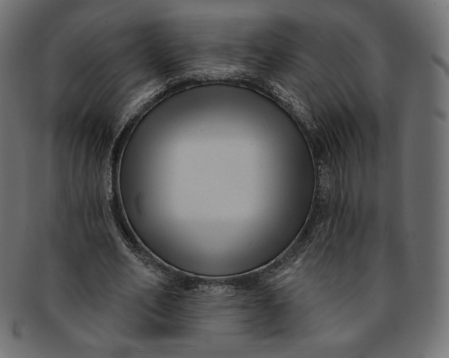 X0000091850582200709261209