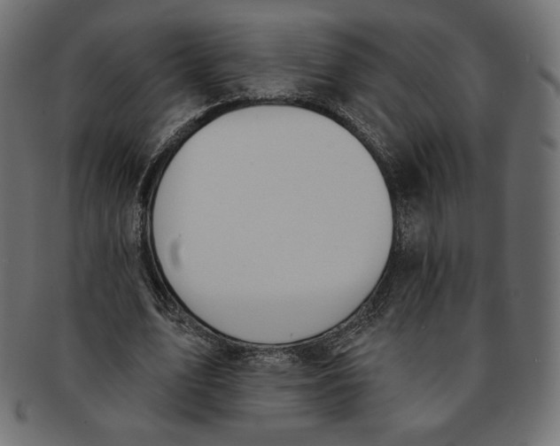 X0000091850583200709261209