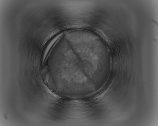 X0000091850585200709261209