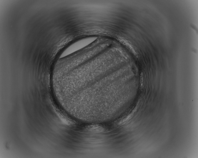 X0000091850589200709261209