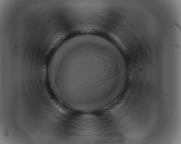 X0000091850590200709261209