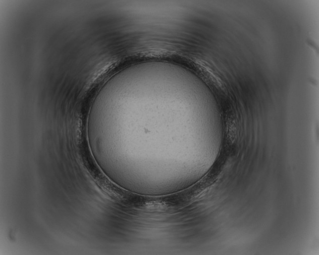 X0000091850591200709261209