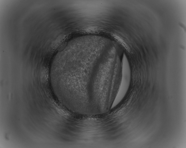 X0000091850593200709261209