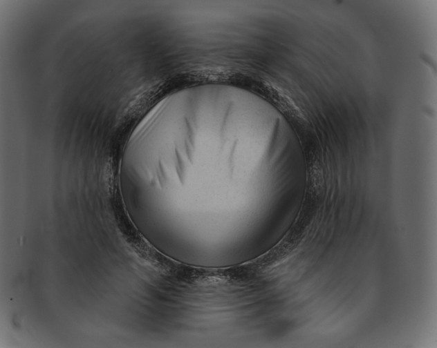 X0000091850594200709261209