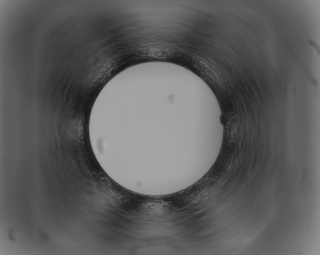 X0000091850595200709261209