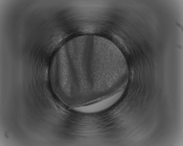 X0000091850596200709261209