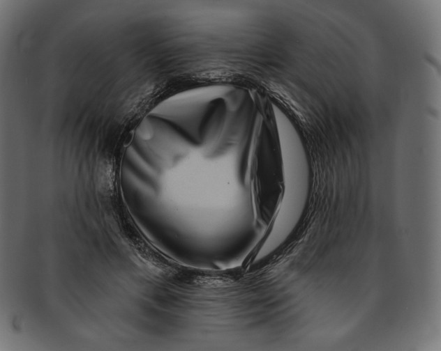 X0000091850597200709261209