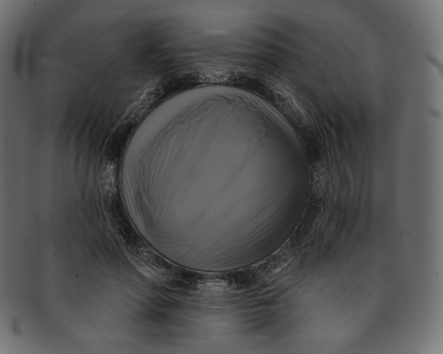 X0000091850598200709261209