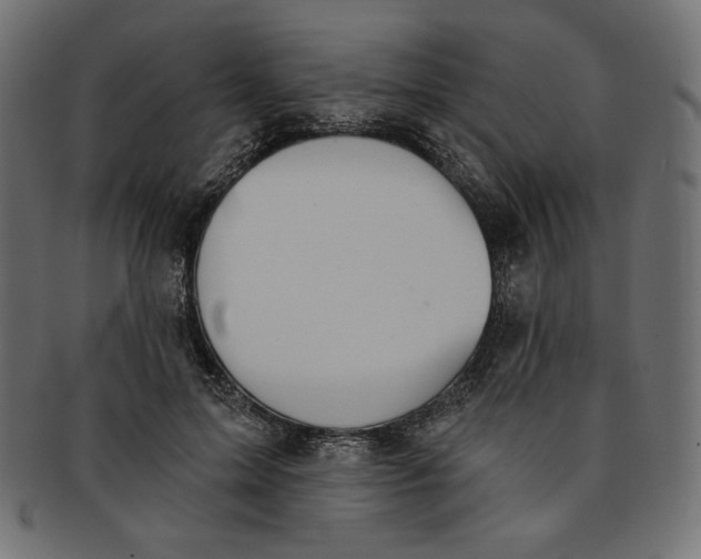 X0000091850599200709261209