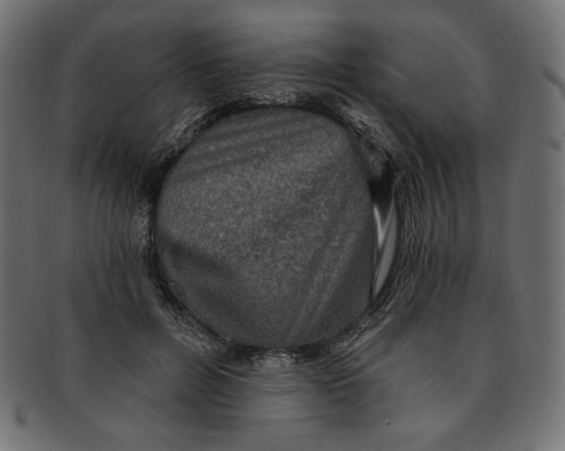 X0000091850600200709261209