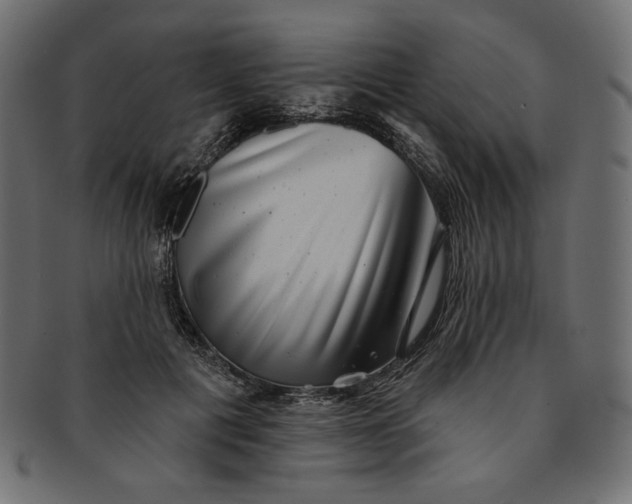 X0000091850601200709261209