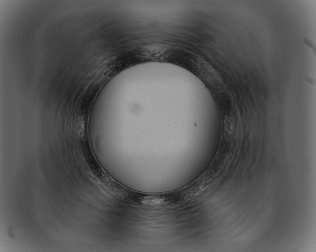 X0000091850602200709261209