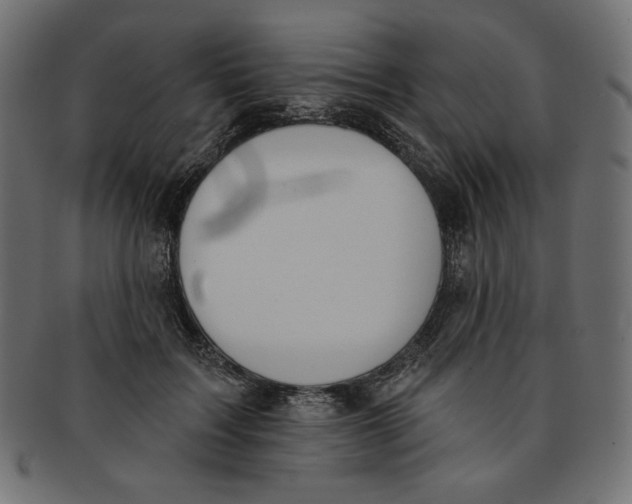 X0000091850603200709261209