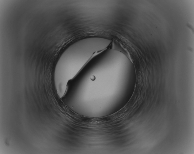 X0000091850604200709261209