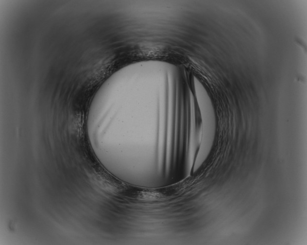 X0000091850605200709261208