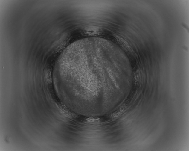 X0000091850606200709261208