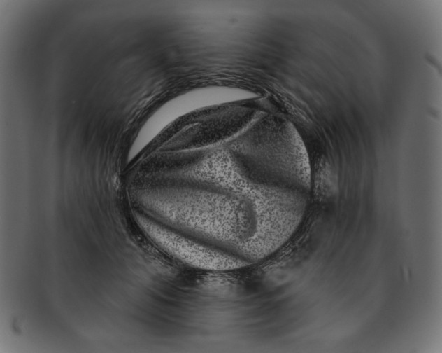 X0000091850608200709261208