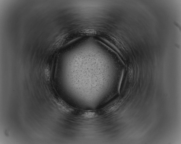 X0000091850609200709261208