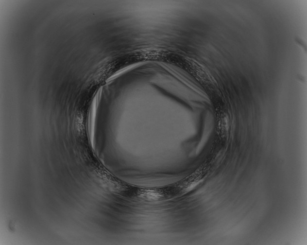 X0000091850610200709261208