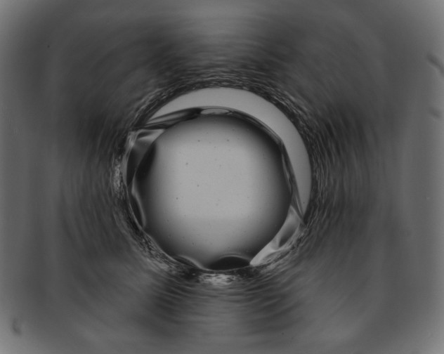 X0000091850611200709261208