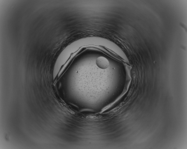 X0000091850613200709261208